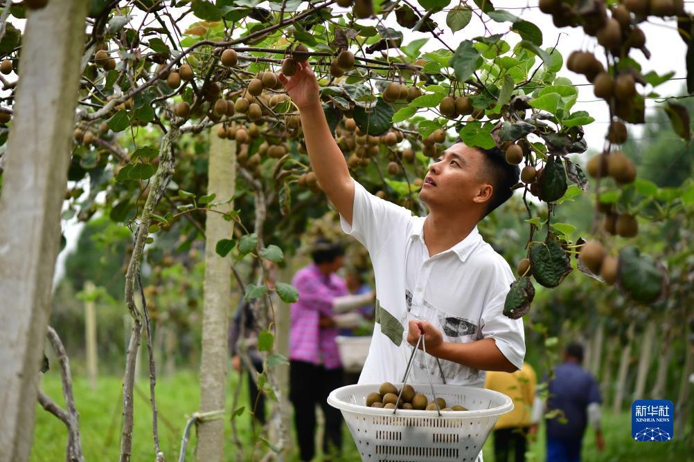 奔驰宝马电玩城游戏下载